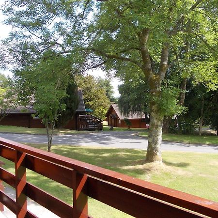 Bluebell Lodge 4 With Hot Tub Newton Stewart Zewnętrze zdjęcie